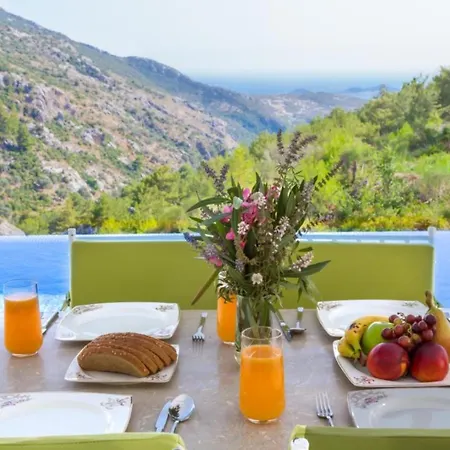 Villa Infinity Wild *